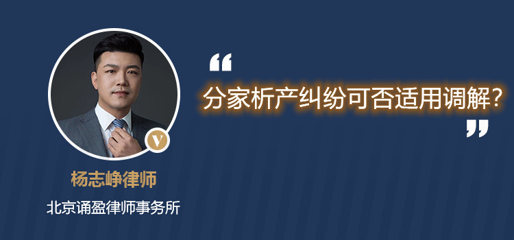 分家析产纠纷可否适用调解?