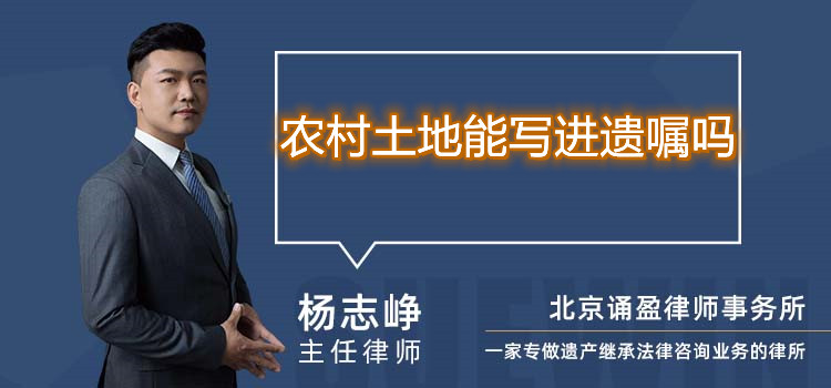 农村土地能写进遗嘱吗